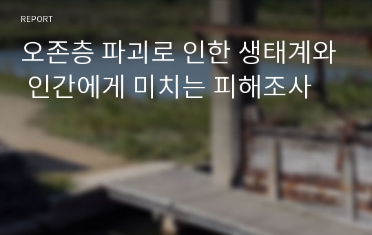 오존층 파괴로 인한 생태계와 인간에게 미치는 피해조사