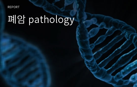 폐암 pathology