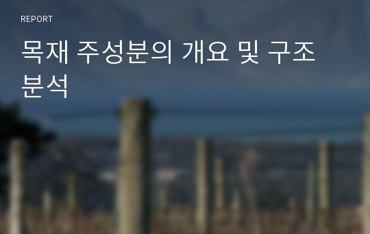 목재 주성분의 개요 및 구조 분석