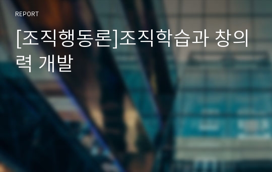 [조직행동론]조직학습과 창의력 개발