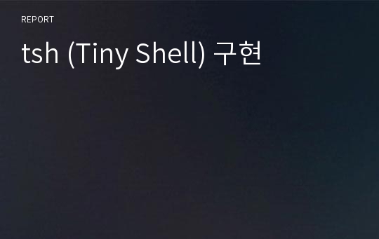 tsh (Tiny Shell) 구현