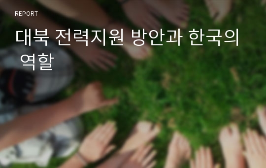 대북 전력지원 방안과 한국의 역할