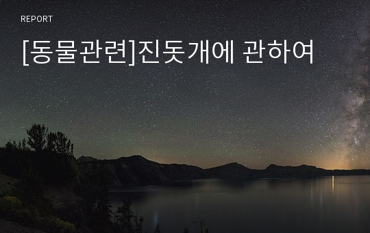 [동물관련]진돗개에 관하여