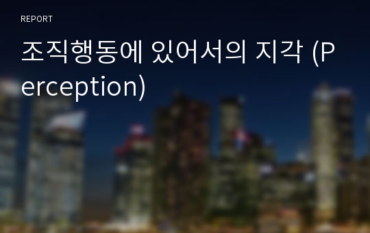 조직행동에 있어서의 지각 (Perception)