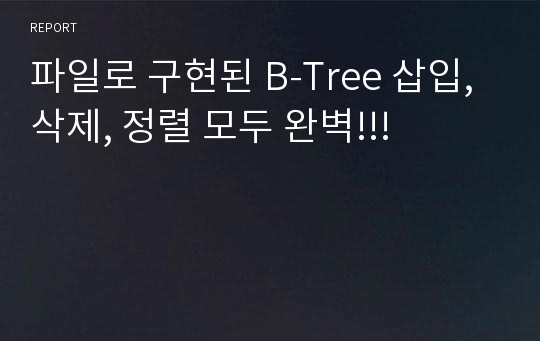 파일로 구현된 B-Tree 삽입, 삭제, 정렬 모두 완벽!!!