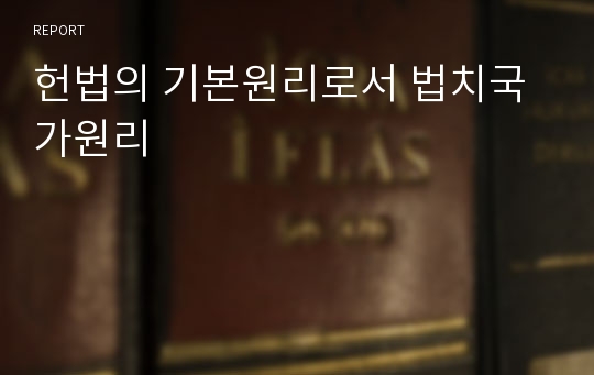 헌법의 기본원리로서 법치국가원리