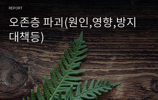 오존층 파괴(원인,영향,방지대책등)