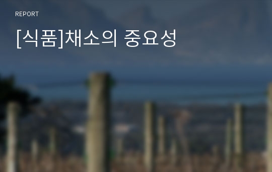 [식품]채소의 중요성