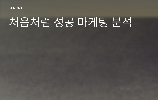 처음처럼 성공 마케팅 분석