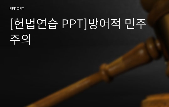 [헌법연습 PPT]방어적 민주주의