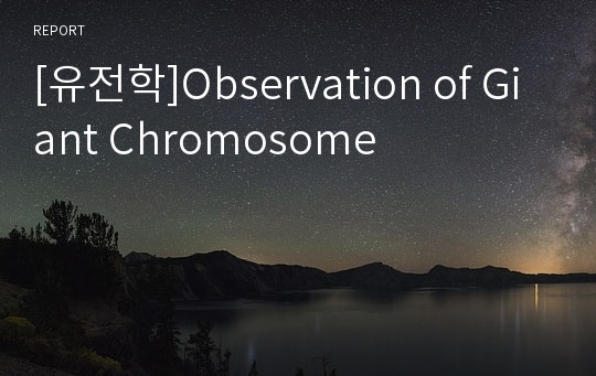 [유전학]Observation of Giant Chromosome