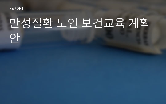 만성질환 노인 보건교육 계획안