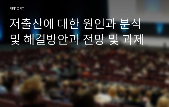 저출산에 대한 원인과 분석 및 해결방안과 전망 및 과제