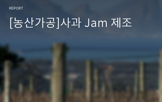 [농산가공]사과 Jam 제조