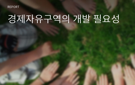 경제자유구역의 개발 필요성