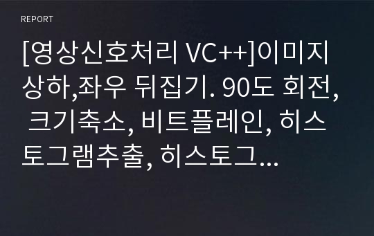 [영상신호처리 VC++]이미지 상하,좌우 뒤집기. 90도 회전, 크기축소, 비트플레인, 히스토그램추출, 히스토그램 스트레칭