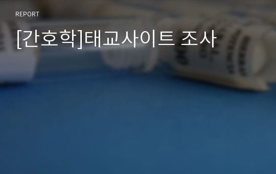 [간호학]태교사이트 조사