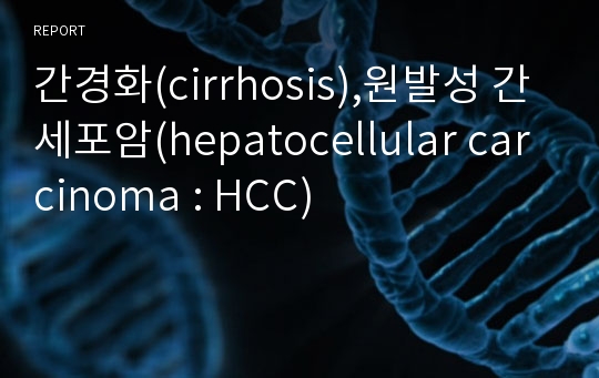 간경화(cirrhosis),원발성 간세포암(hepatocellular carcinoma : HCC)