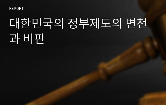 대한민국의 정부제도의 변천과 비판