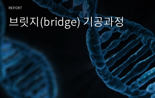 브릿지(bridge) 기공과정