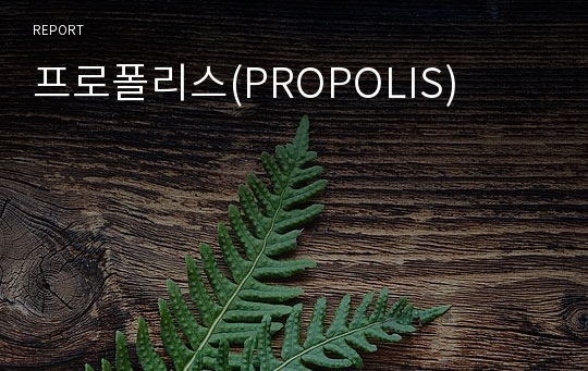 프로폴리스(PROPOLIS)