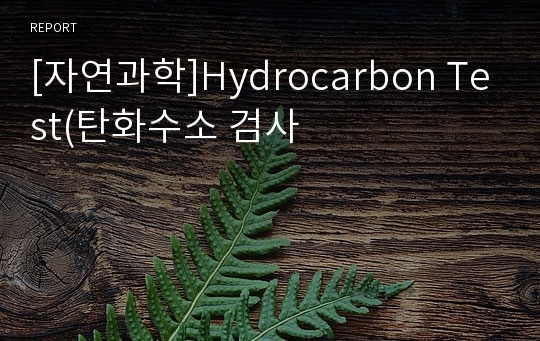 [자연과학]Hydrocarbon Test(탄화수소 검사