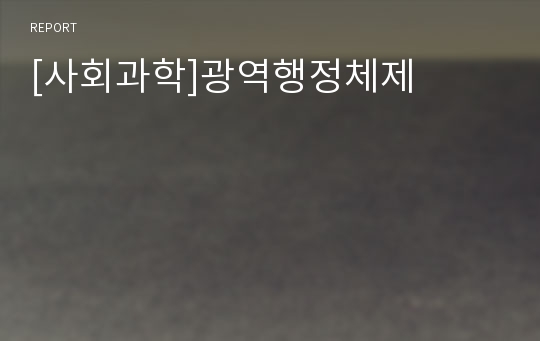 [사회과학]광역행정체제