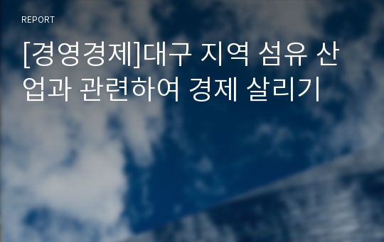 [경영경제]대구 지역 섬유 산업과 관련하여 경제 살리기