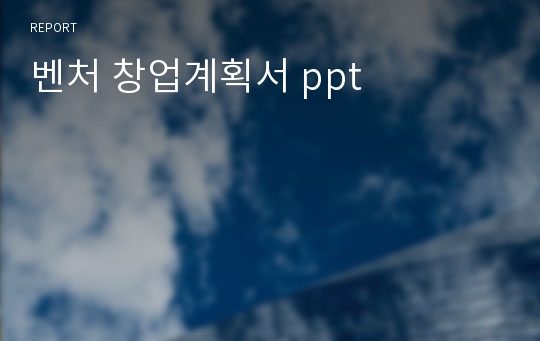 벤처 창업계획서 ppt