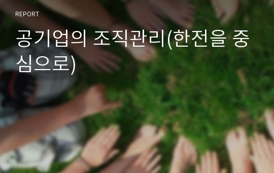 공기업의 조직관리(한전을 중심으로)