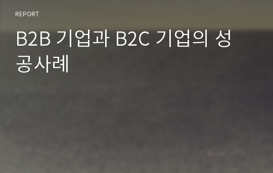 B2B 기업과 B2C 기업의 성공사례