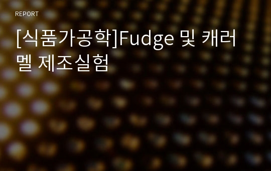 [식품가공학]Fudge 및 캐러멜 제조실험