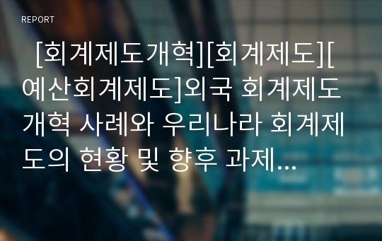   [회계제도개혁][회계제도][예산회계제도]외국 회계제도개혁 사례와 우리나라 회계제도의 현황 및 향후 과제 분석(회계용어정리, 회계정보의 유용성, 지방회계제도의 현황, 정부재정분석모형의 모색, 회계제도 과제)