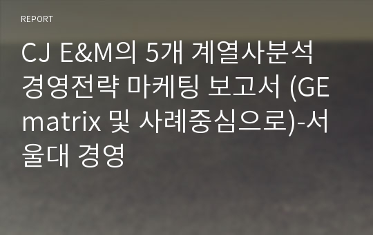 CJ E&amp;M의 5개 계열사분석 경영전략 마케팅 보고서 (GE matrix 및 사례중심으로)-서울대 경영