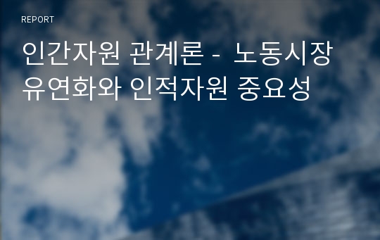 인간자원 관계론 -  노동시장 유연화와 인적자원 중요성