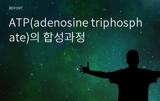 ATP(adenosine triphosphate)의 합성과정