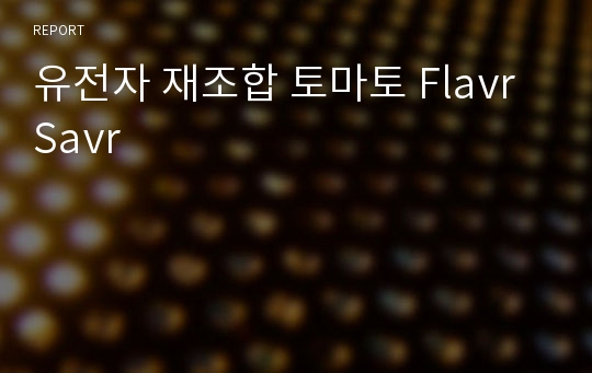 유전자 재조합 토마토 Flavr Savr