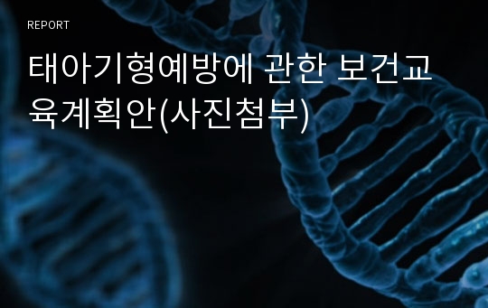 태아기형예방에 관한 보건교육계획안(사진첨부)