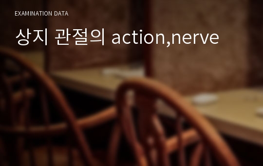 상지 관절의 action,nerve