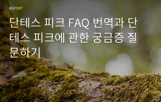 단테스 피크 FAQ 번역과 단테스 피크에 관한 궁금증 질문하기