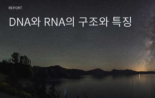 DNA와 RNA의 구조와 특징