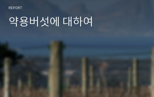 약용버섯에 대하여