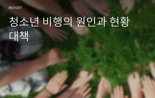 청소년 비행의 원인과 현황 대책