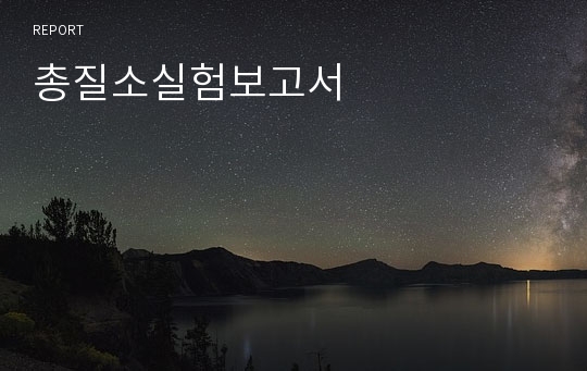 총질소실험보고서