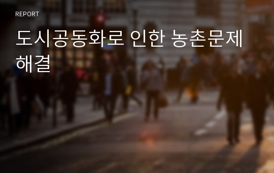 도시공동화로 인한 농촌문제 해결