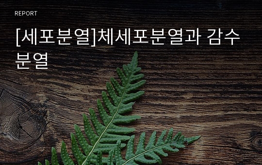 [세포분열]체세포분열과 감수분열