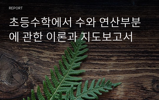 초등수학에서 수와 연산부분에 관한 이론과 지도보고서