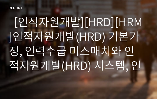   [인적자원개발][HRD][HRM]인적자원개발(HRD) 기본가정, 인력수급 미스매치와 인적자원개발(HRD) 시스템, 인적자원개발(HRD) 환경변화, 앤더슨 컨설팅 사례, 효과적 인적자원관리(HRM) 조건과 시사점 분석