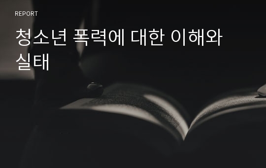 청소년 폭력에 대한 이해와 실태