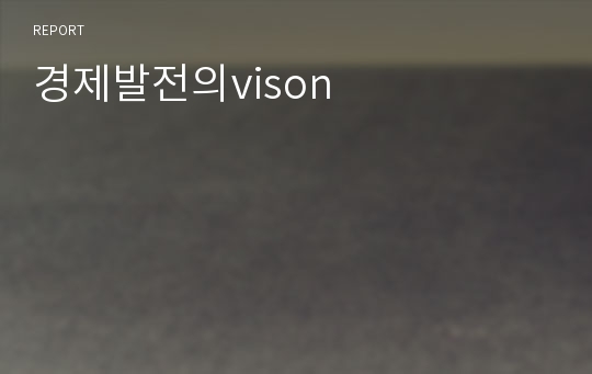 경제발전의vison